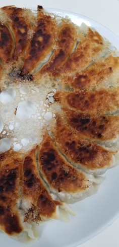 我が家の餃子の餡