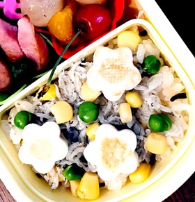 簡単にきれい可愛く♡しらすのっけ弁当