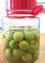 みんなが作ってる 冷凍梅 はちみつのレシピ クックパッド 簡単おいしいみんなのレシピが357万品