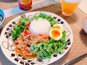 簡単★パクチーキーマカレー