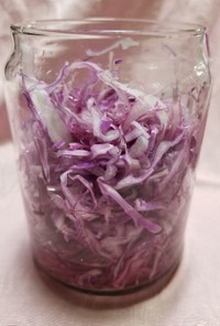 紫キャベツの酢漬け