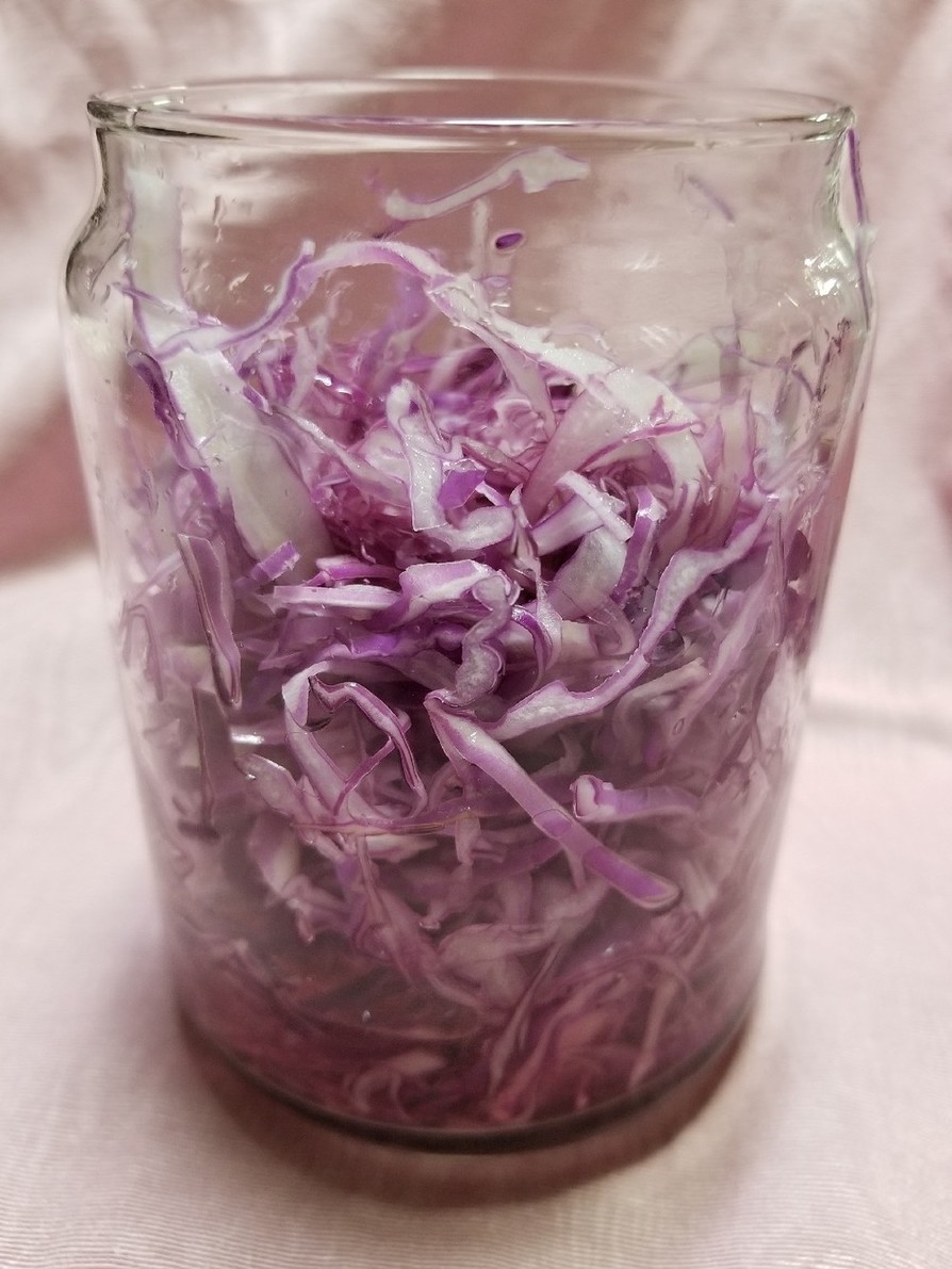 紫キャベツの酢漬けの画像