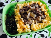 牛丼弁当の写真