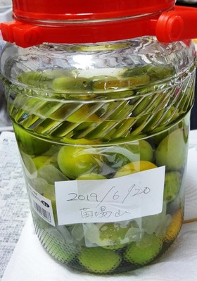 ご用心!でも日本酒で美味い梅酒つくろう!