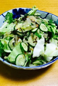 キャベツのサラダ〜薬味たっぷり〜