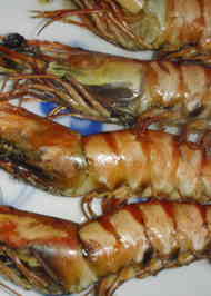 みんなが作ってる 有頭海老 塩焼きのレシピ クックパッド 簡単おいしいみんなのレシピが366万品