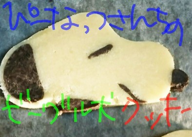 ピーナッツさんちのビーグル犬クッキーの写真