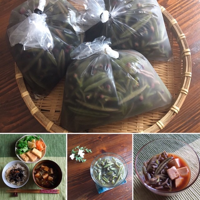 秋田 じゅん菜の湯がき方 食べ方 レシピ 作り方 By まちゃみ ママ クックパッド 簡単おいしいみんなのレシピが354万品 秋田 じゅん菜の湯がき方 食べ方 レシピ 作り方 By まちゃみ ママ クックパッド 簡単おいしいみんなのレシピが354万品