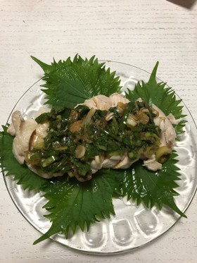 蒸し鶏の薬味ソースがけ