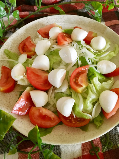 モッツァレラチーズとトマトの簡単サラダの写真