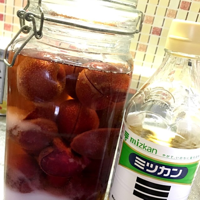 すもも酢 レシピ 作り方 By クックn2kocx クックパッド 簡単おいしいみんなのレシピが359万品 すもも酢 レシピ 作り方 By クックn2kocx クックパッド 簡単おいしいみんなのレシピが359万品