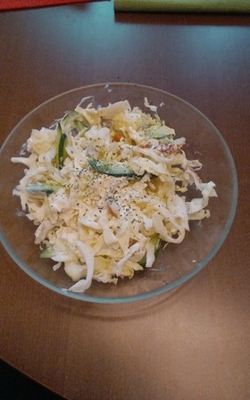 キャベツ千切りサラダ
