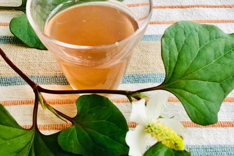 ドクダミ茶 を作る レシピ 作り方 By ソラソラソラ クックパッド 簡単おいしいみんなのレシピが358万品