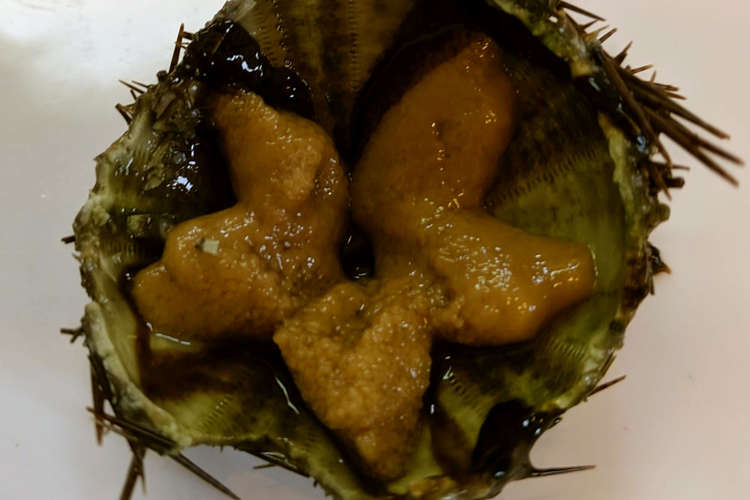 サンショウウニの下処理とウニ丼 レシピ 作り方 By 黒鯛チヌ子 クックパッド 簡単おいしいみんなのレシピが357万品