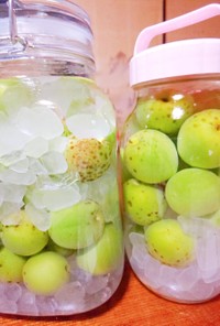 みんなが作ってる 梅酒 はちみつ 氷砂糖のレシピ クックパッド 簡単おいしいみんなのレシピが365万品