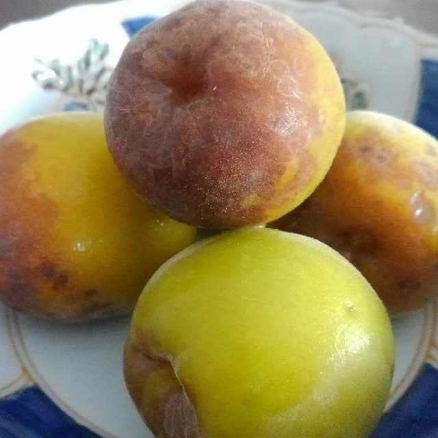 梅ジュース 変色梅救済 レシピ 作り方 By Marimo1102 クックパッド 簡単おいしいみんなのレシピが360万品