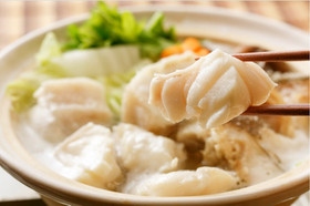幻の高級魚!スープで食べるクエ鍋(よか魚