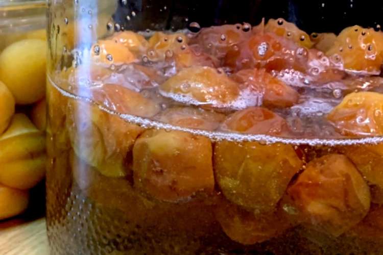 自家製梅シロップ 冷凍梅 レシピ 作り方 By あいみやま クックパッド 簡単おいしいみんなのレシピが358万品