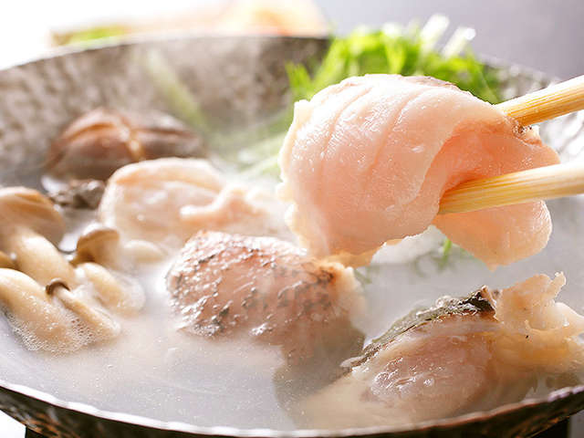 幻の高級魚 水炊きで食べるクエ鍋 よか魚 By よか魚 クックパッド