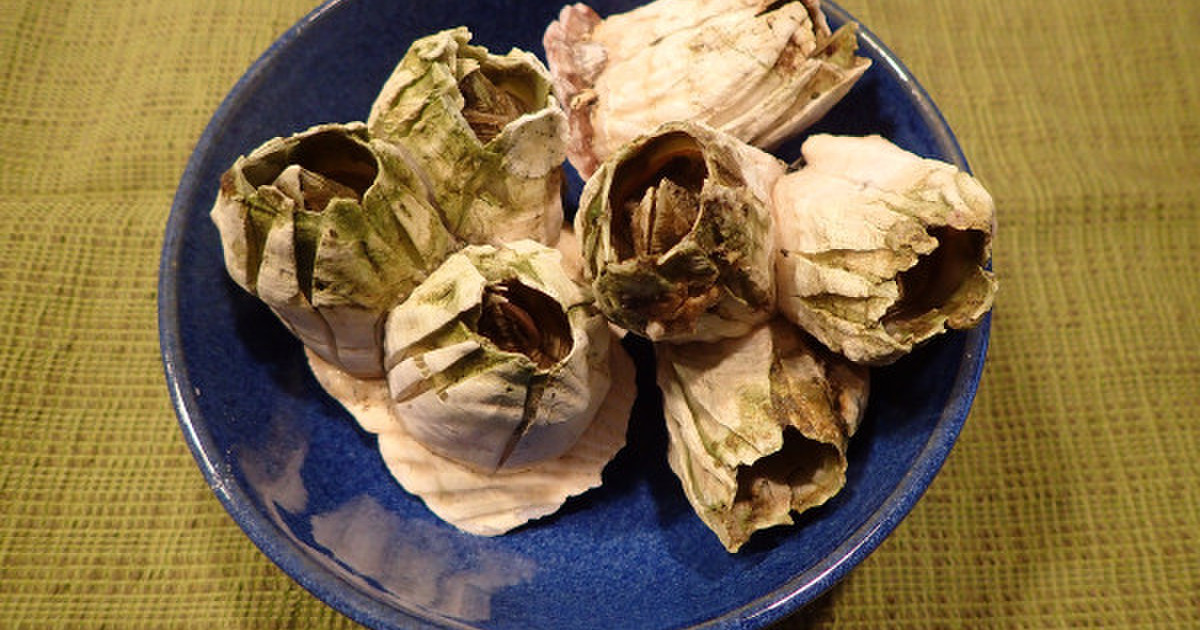 茹でミネフジツボ レシピ 作り方 By あおもりの肴 クックパッド 簡単おいしいみんなのレシピが361万品