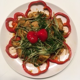 彩綺麗なタンドリーチキン風〜チキン
