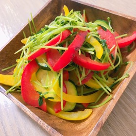 パプリカとズッキーニの彩り野菜炒め