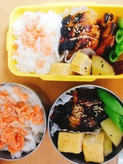 JKの作るお弁当 6の写真