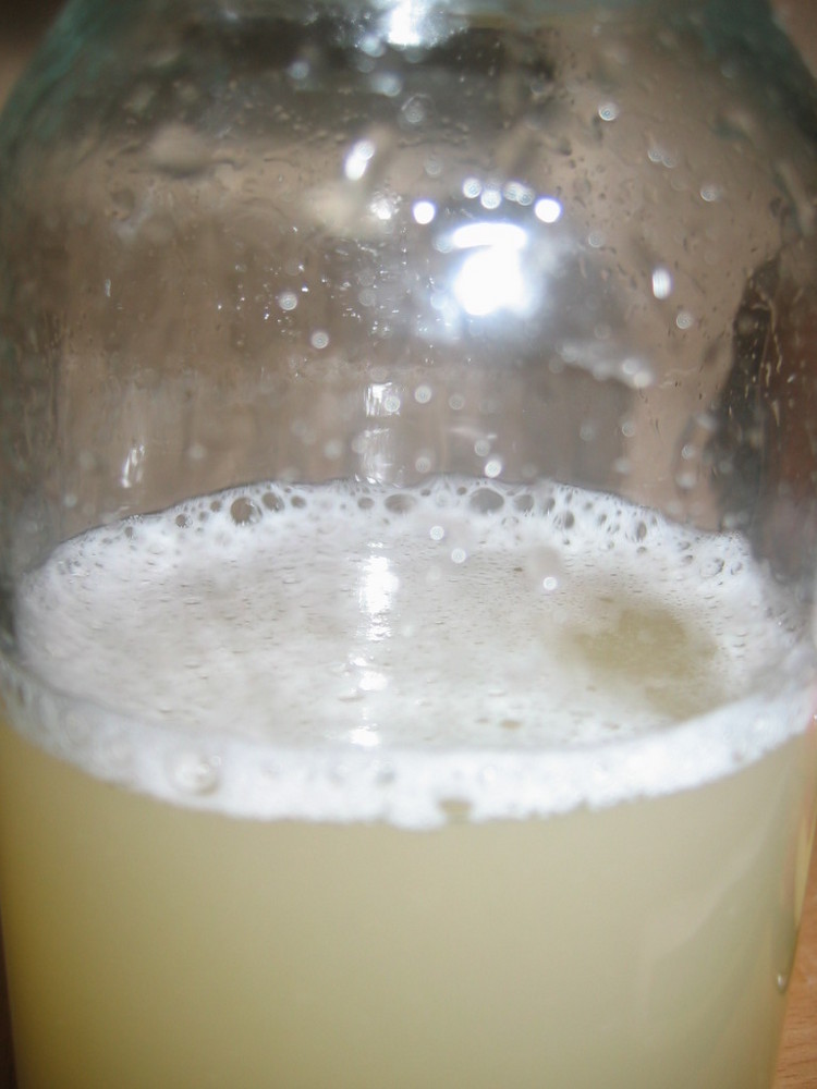 捨てずに自家製酵母：メロンの皮酵母の画像