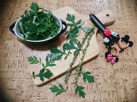 よもぎの葉でジェノベーゼオイル
