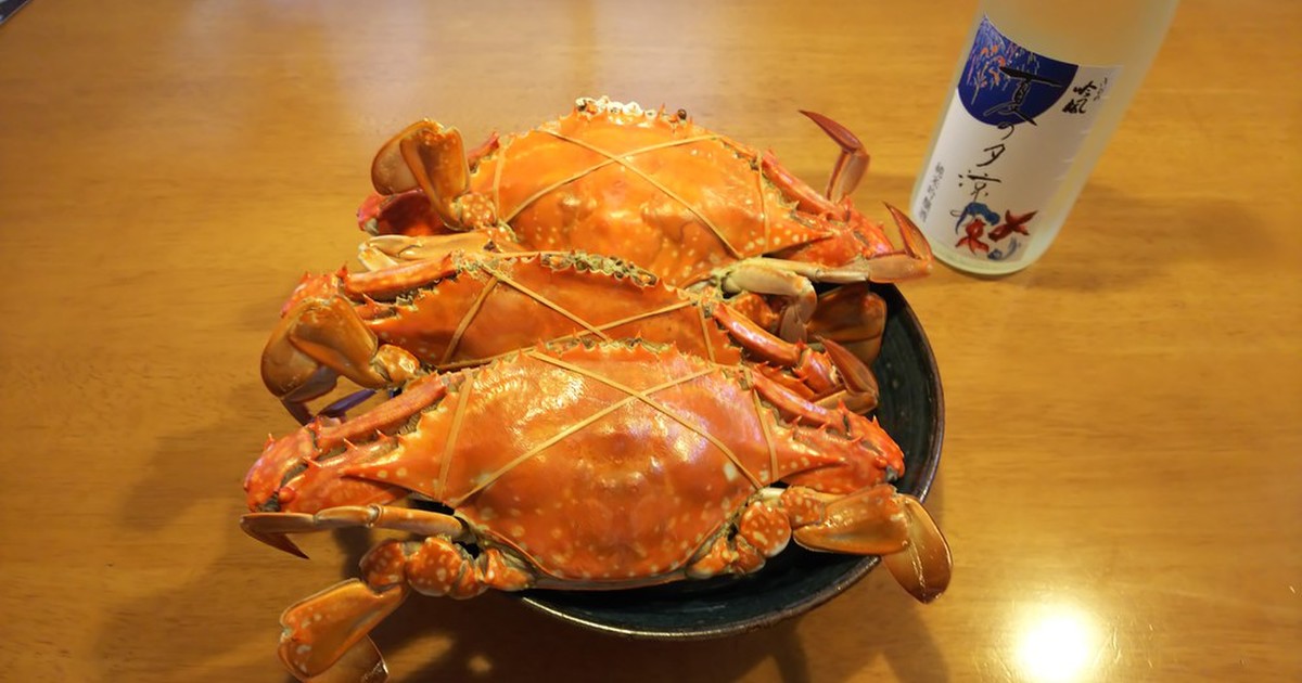 ワタリガニの釣り攻略 よく釣れるおすすめスポットや時期 釣り方を徹底解説します 釣りラボマガジン