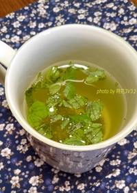◆ペパーミント緑茶◆