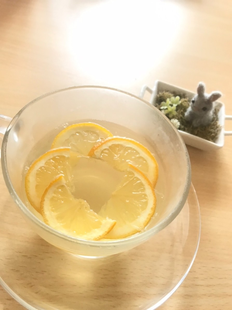 広島レモンのしゅわしゅわゼリーの画像