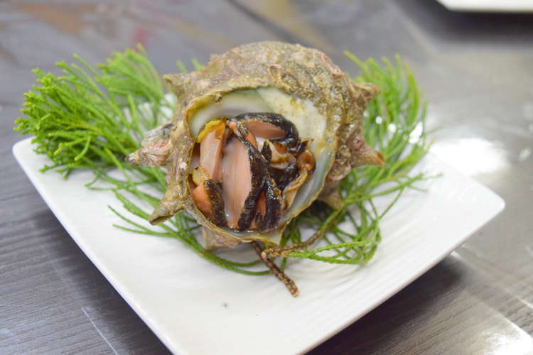 長崎産活サザエのお刺身 よか魚 レシピ 作り方 By よか魚 クックパッド 簡単おいしいみんなのレシピが373万品