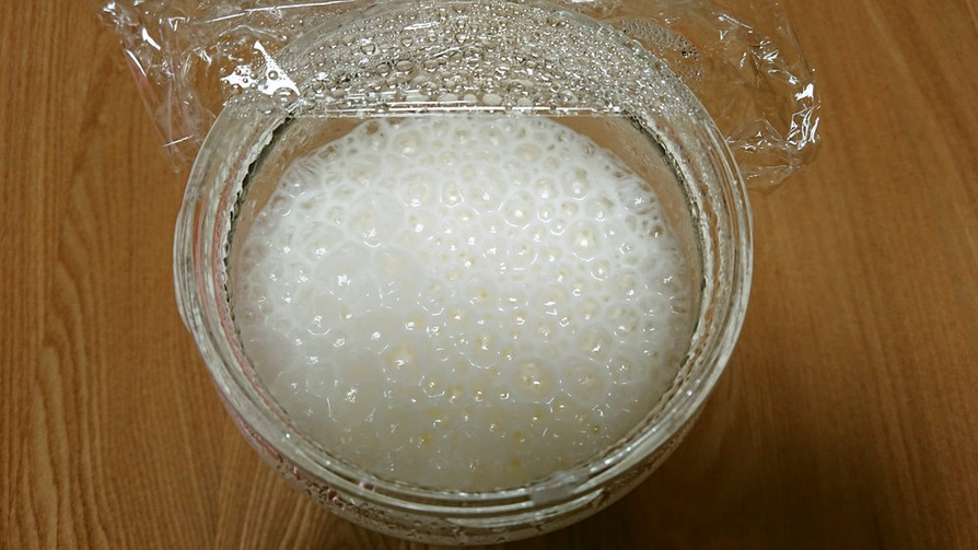 ヨーグルト酵母液と元種の画像