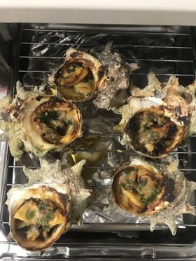 グリルで簡単!生姜味噌のサザエのつぼ焼き