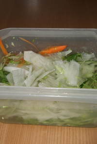 さっと食べれるサラダ用野菜の保存方法