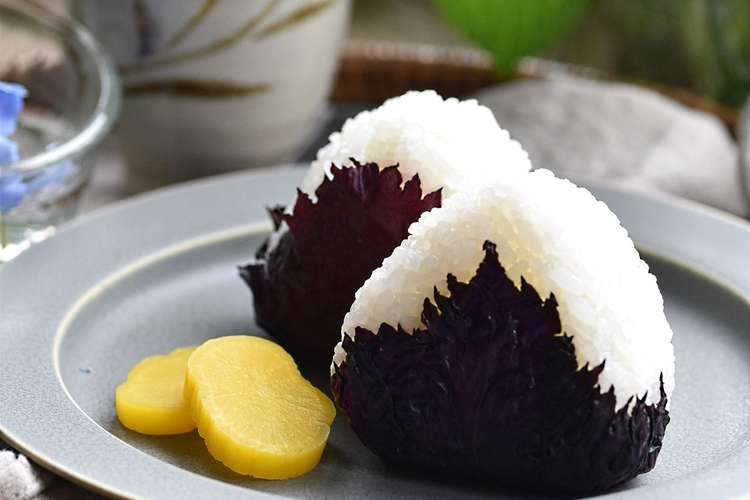 赤紫蘇の塩漬け レシピ 作り方 By みき クックパッド 簡単おいしいみんなのレシピが365万品
