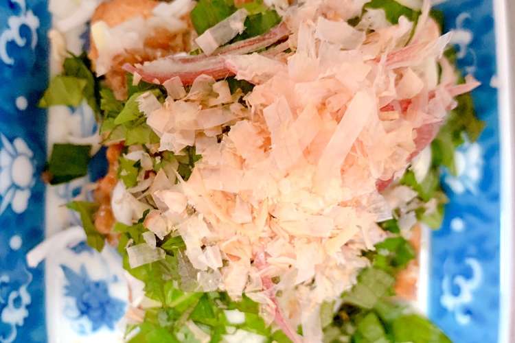 薬味たっぷり厚揚げ納豆 レシピ 作り方 By よもぎ食堂 クックパッド 簡単おいしいみんなのレシピが367万品
