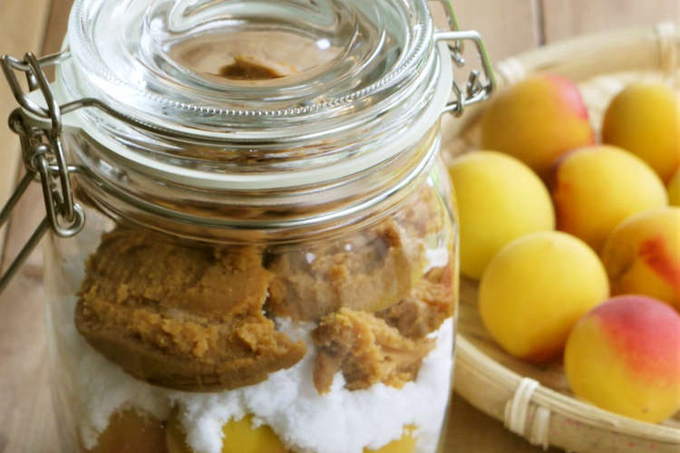 梅講師直伝 万能 梅の味噌漬け 梅味噌 レシピ 作り方 By 梅ミッキー クックパッド 簡単おいしいみんなのレシピが358万品