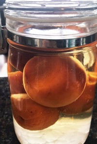 手作り杏酒