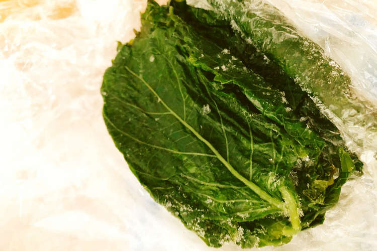成田さん家のシソの葉の冷凍保存方法 レシピ 作り方 By 高郷comachi クックパッド 簡単おいしいみんなのレシピが365万品
