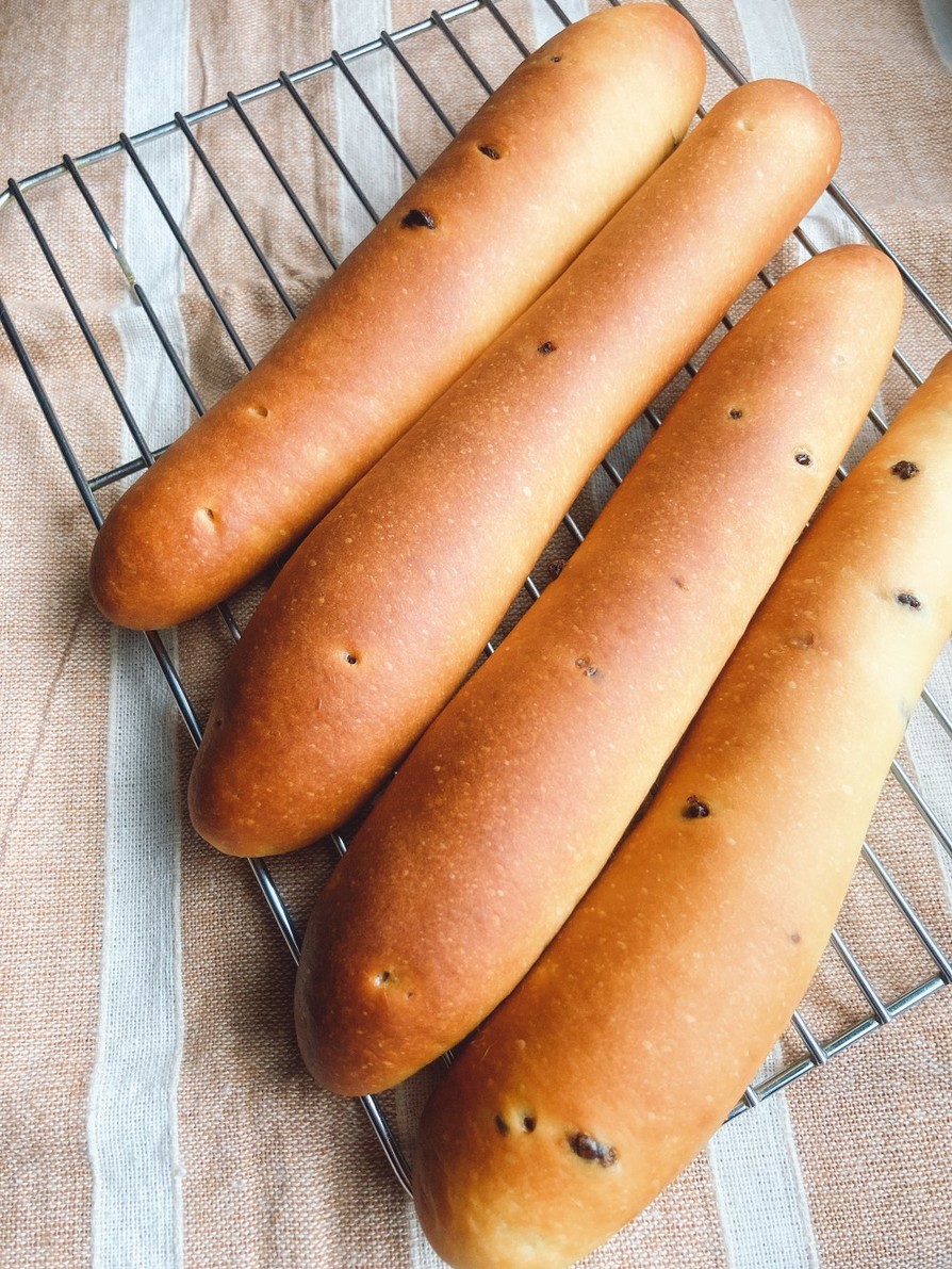【冷蔵発酵】素朴なチョコスティックパンの画像