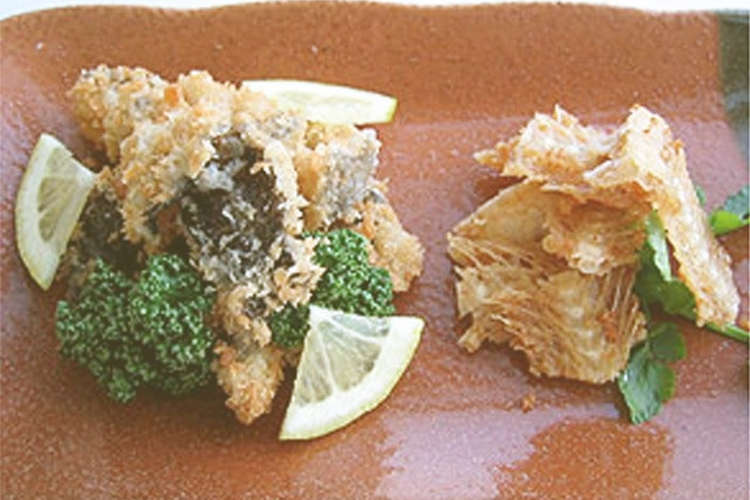 皮 骨 背びれのせんべい ゲンゲ レシピ 作り方 By 北海道 クックパッド 簡単おいしいみんなのレシピが353万品