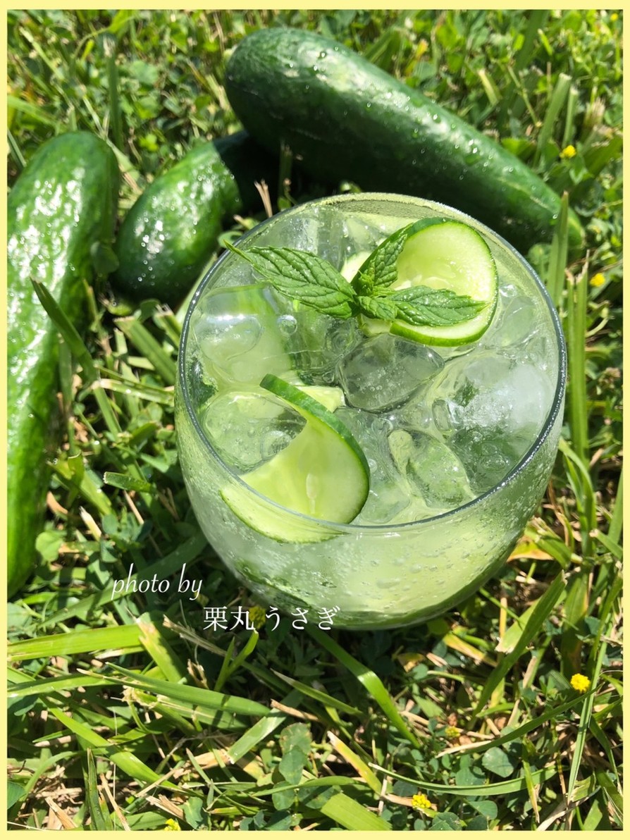 キュウリとミントのスムージーのレシピ