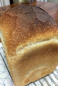 自家製酵母の食パン