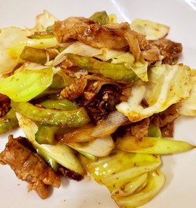 ゴーヤと冷しゃぶ肉で作る回鍋肉