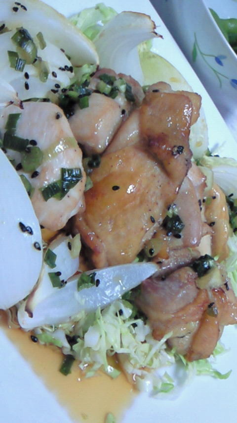 鶏肉と玉ねぎのオーブン焼き～甘酢タレの画像