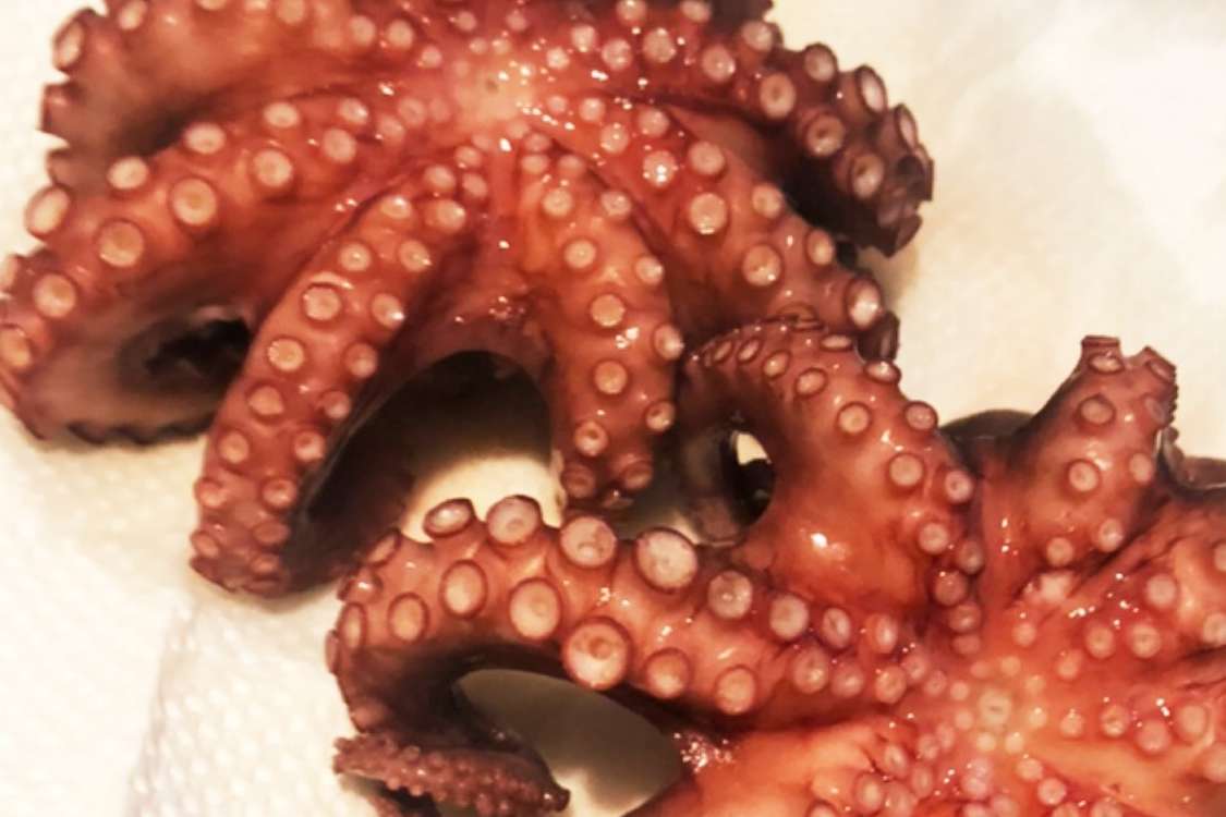 釣り生のマダコの茹で方 タコの下処理 レシピ 作り方 By 釣り好きマサコ クックパッド 簡単おいしいみんなのレシピが378万品