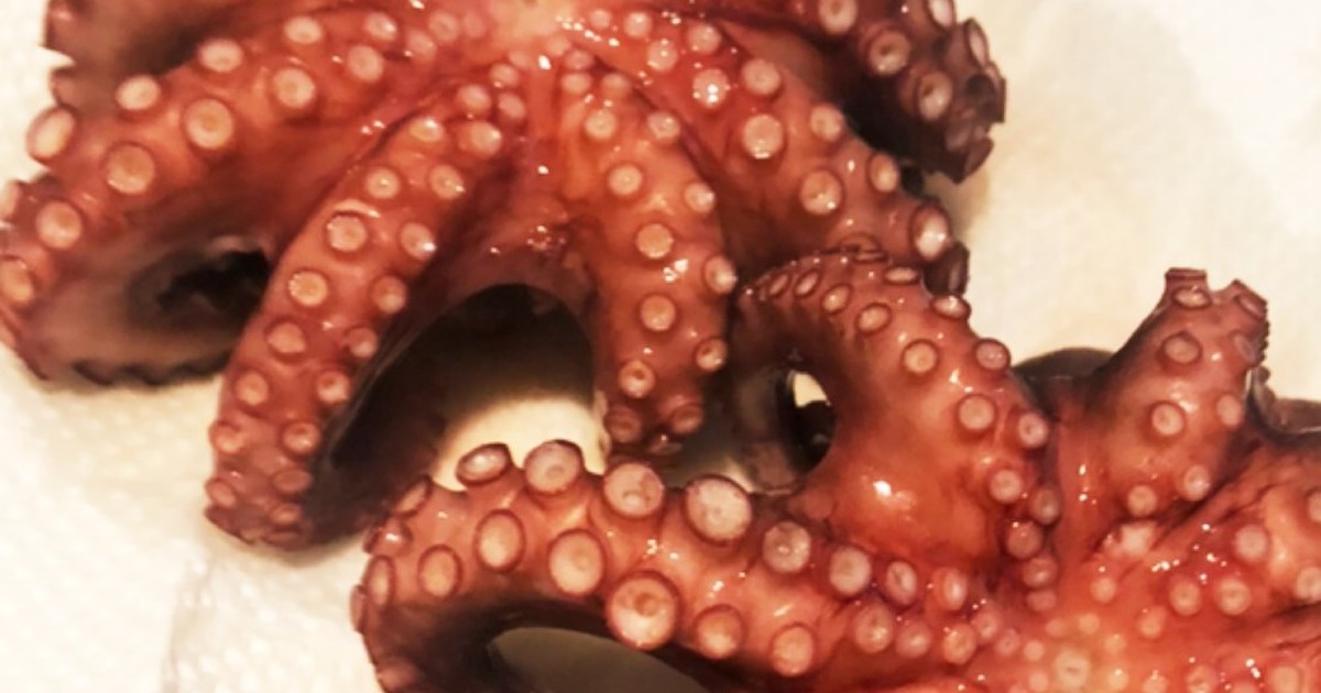 釣り生のマダコの茹で方 タコの下処理 レシピ 作り方 By 釣り好きマサコ クックパッド