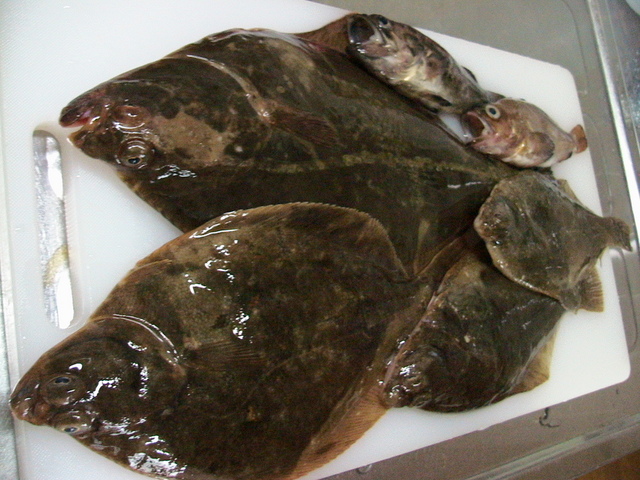 お魚の下ごしらえ カレイ レシピ 作り方 By Nechi33 クックパッド 簡単おいしいみんなのレシピが356万品